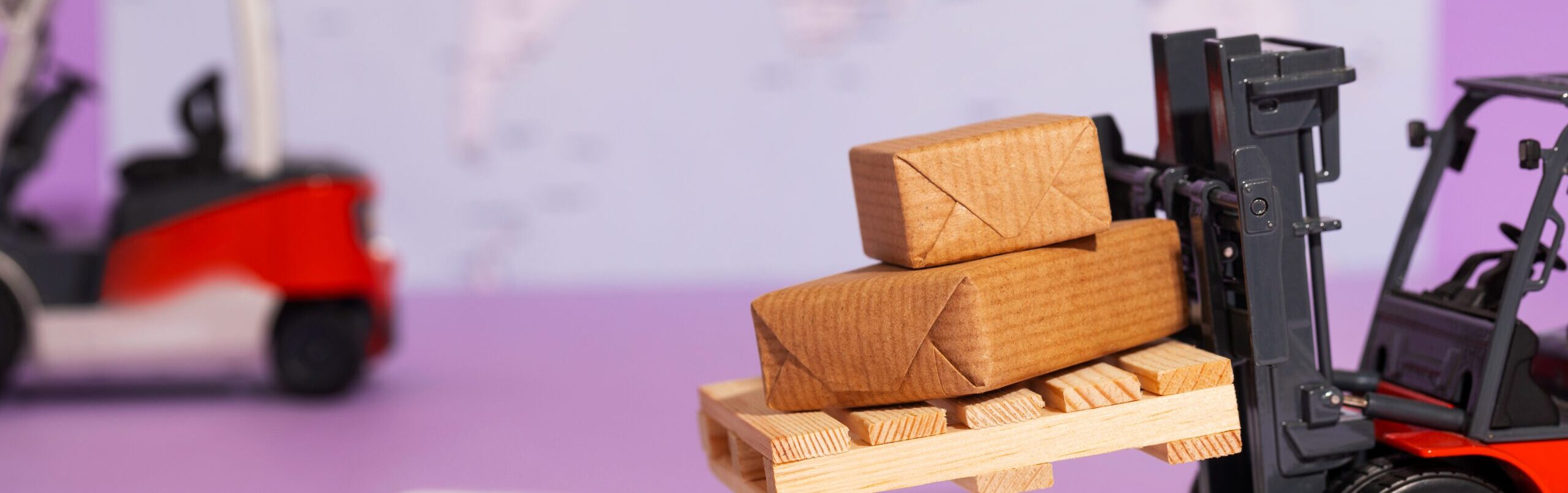 Alles wat je moet weten over importregels in Nederland en de EU